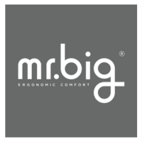 MR.BIG