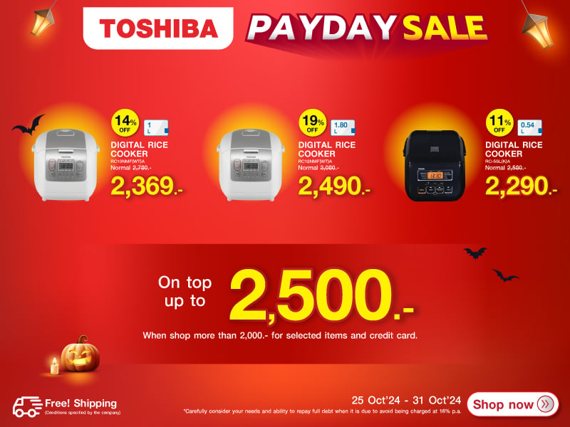 TOSHIBA PAYDAY SALE