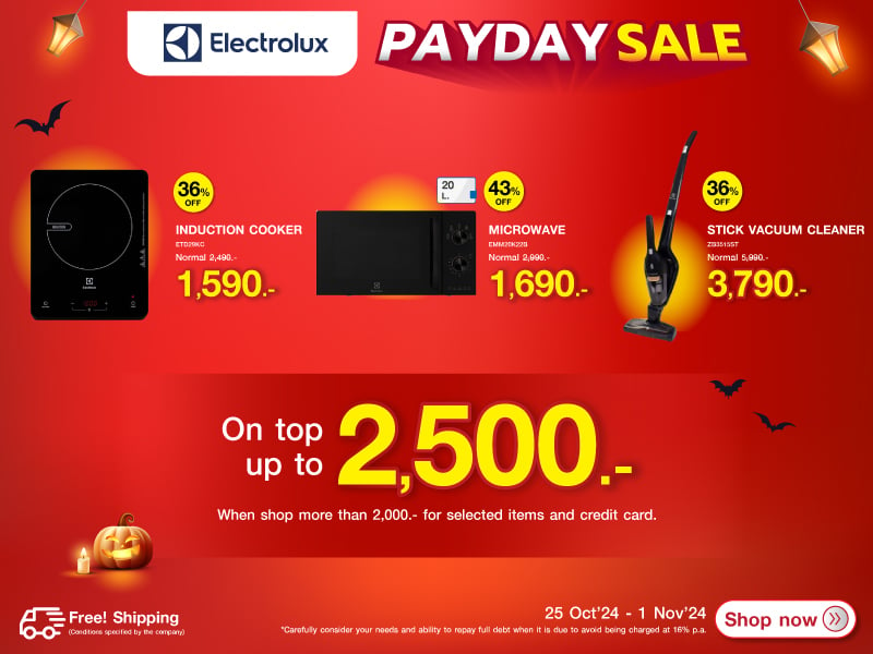 ELECTROLUX PAYDAY SALE