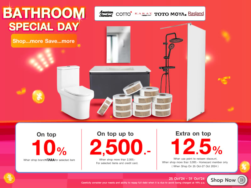 BATHROOM SPECIAL DAY