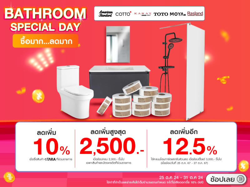 BATHROOM SPECIAL DAY