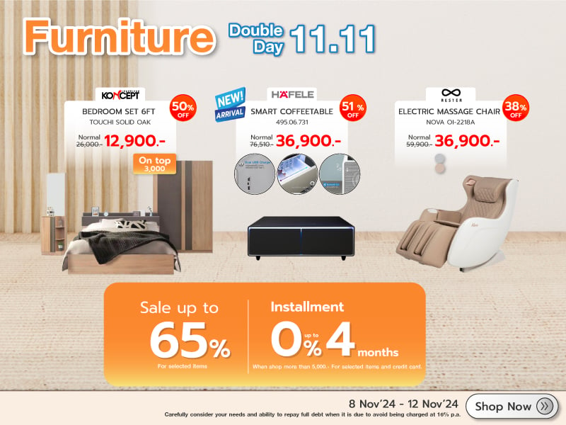 FURNITURE 11.11 DOUBLE DAY