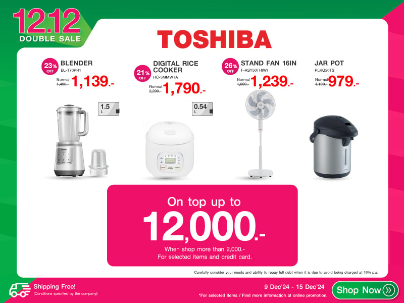 TOSHIBA 12.12 DOUBLE SALE