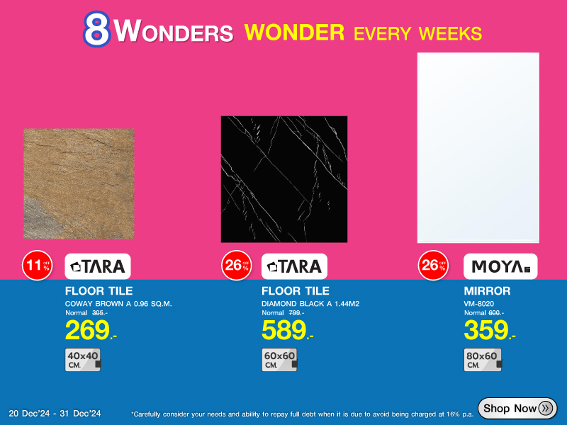 8 WONDER 20-31 DEC 2024