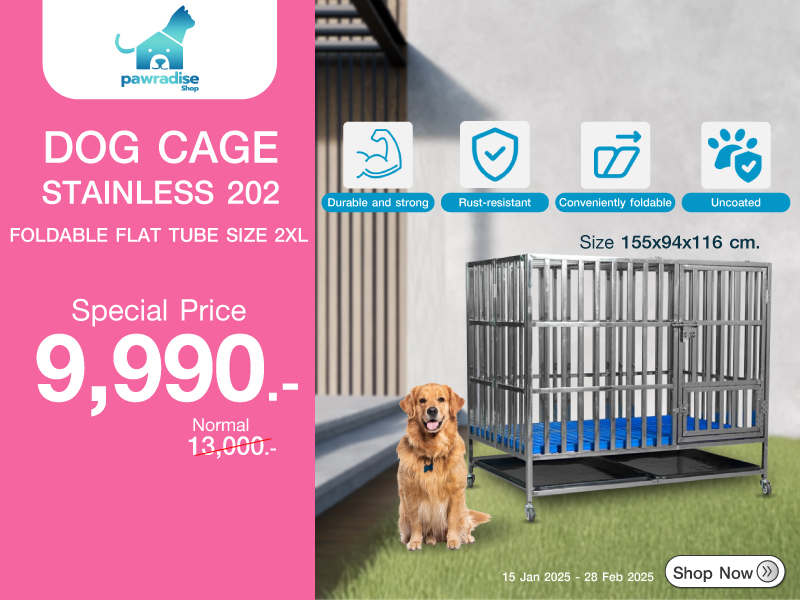 DOG CAGE PAWRADISE