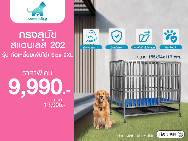 DOG CAGE PAWRADISE