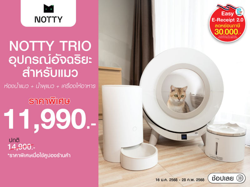 NOTTY TRIO Smart Devices for Cats