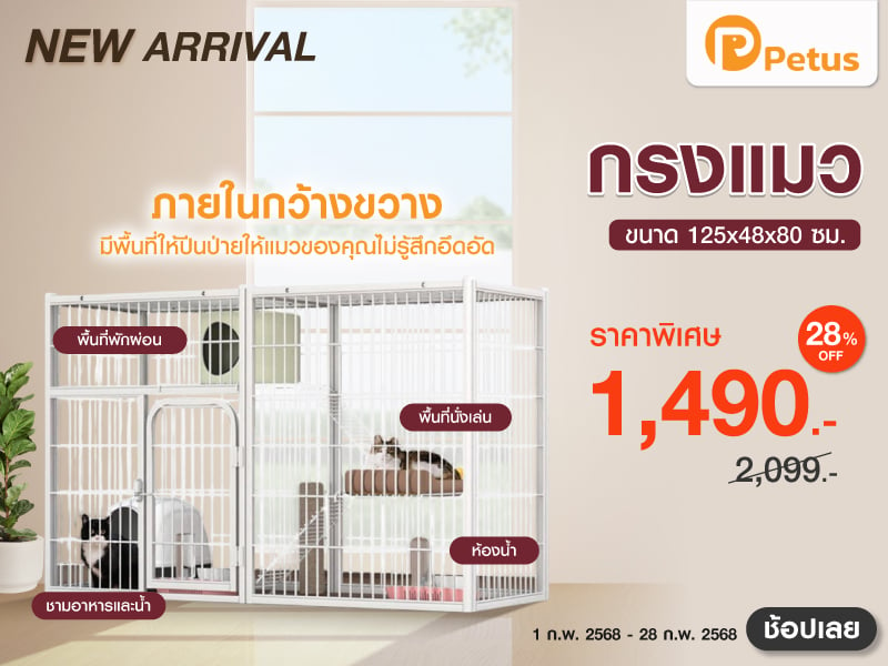 NEW ARRIVAL CAT CRATE