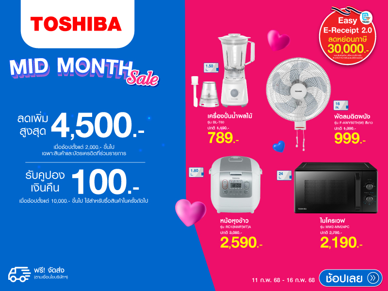 TOSHIBA MID MONTH SALE