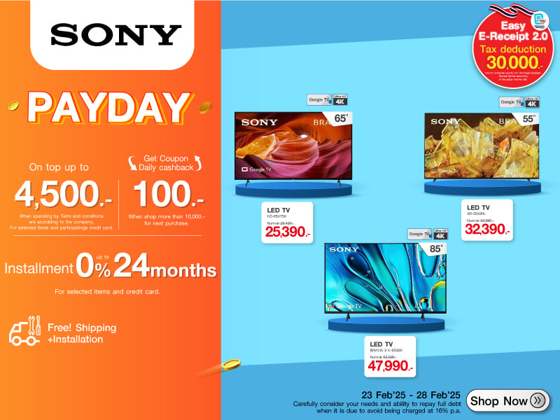 TV SONY PAYDAY SALE