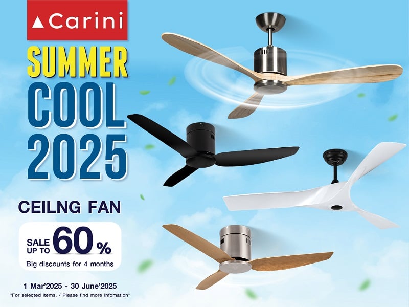 Decorative Ceiling Fans