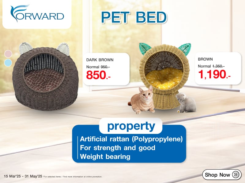 THAI FORWARD PET BED