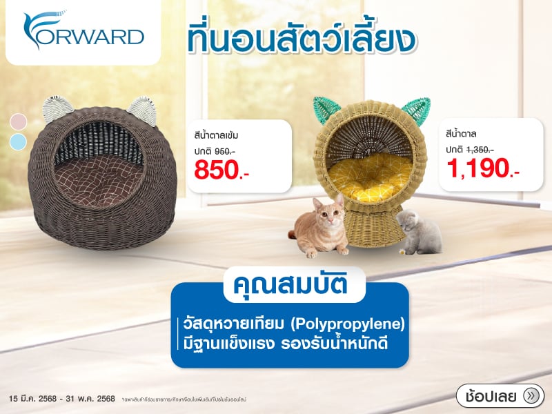 THAI FORWARD PET BED