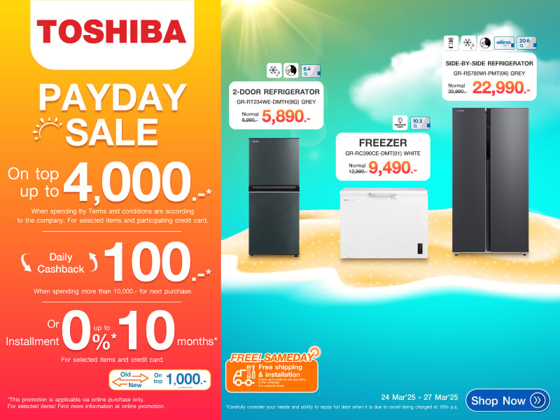 TOSHIBA PAYDAY SALE