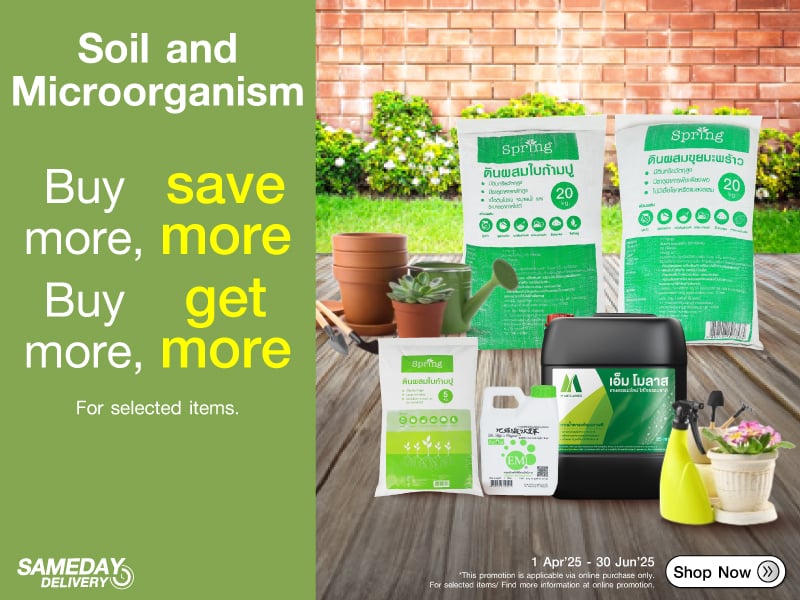 SOIL AND MICROORGANISM