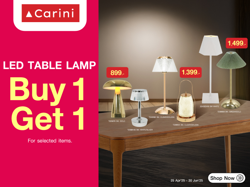 CARINI 1 FREE 1