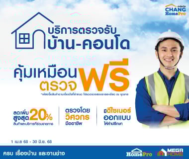 HOME& CONDO INSPECTION SERVICE