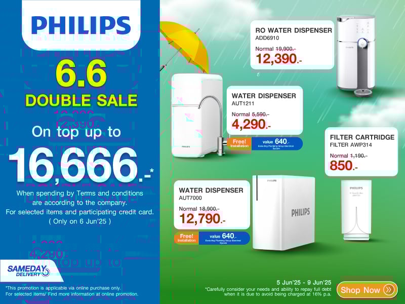 PHILIPS 6.6 DOUBLE SALE