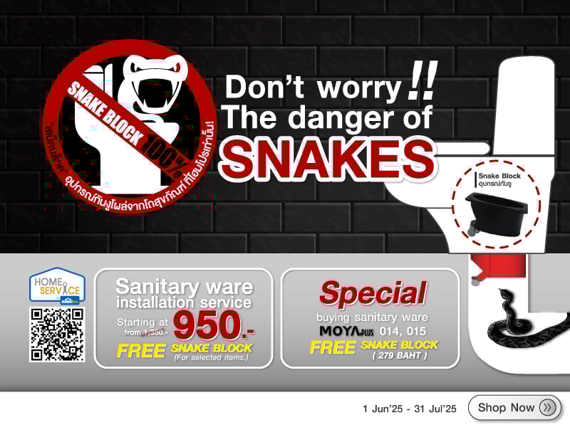 Snake box