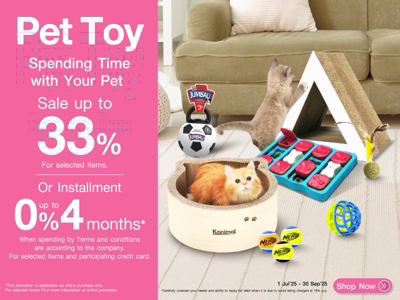 PET TOY SPENDING TIME WITH YOUR PET