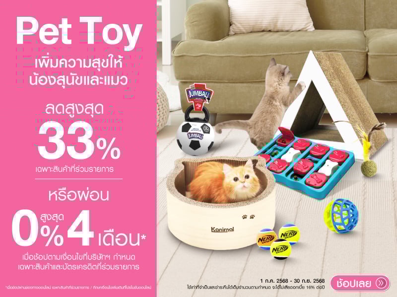 PET TOY SPENDING TIME WITH YOUR PET