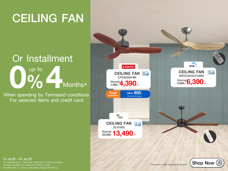 CEILIING FAN