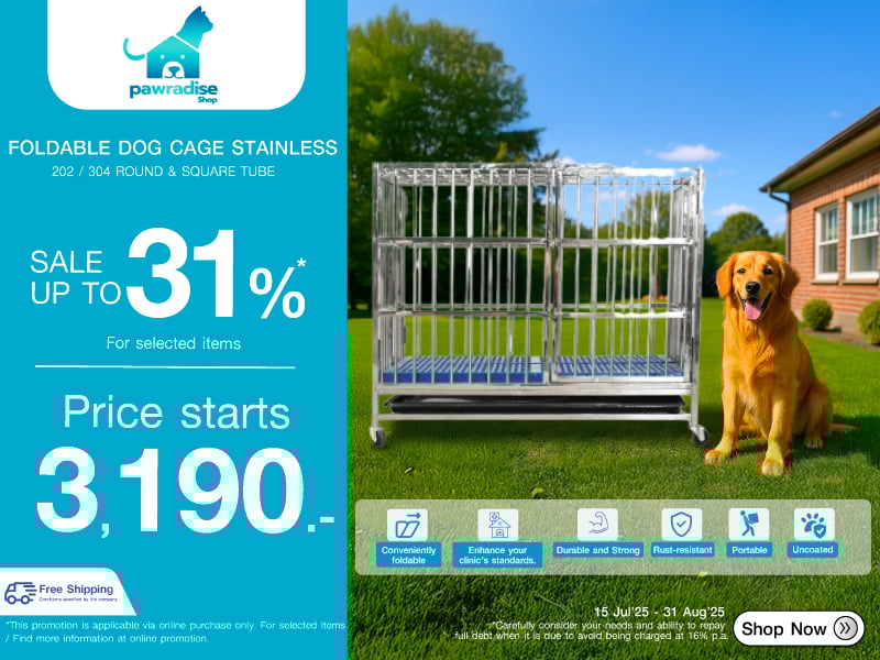 FOLDABLE DOG CAGE STAINLESS 202 / 304 ROUND & SQUARE TUBE