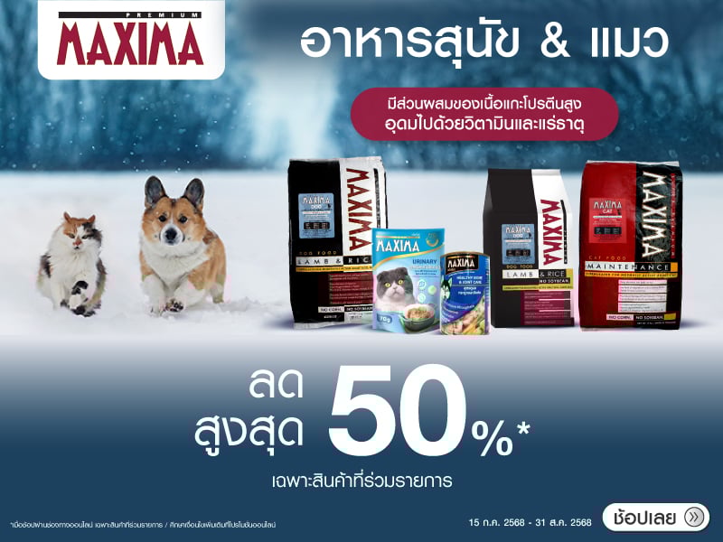 PET FOOD