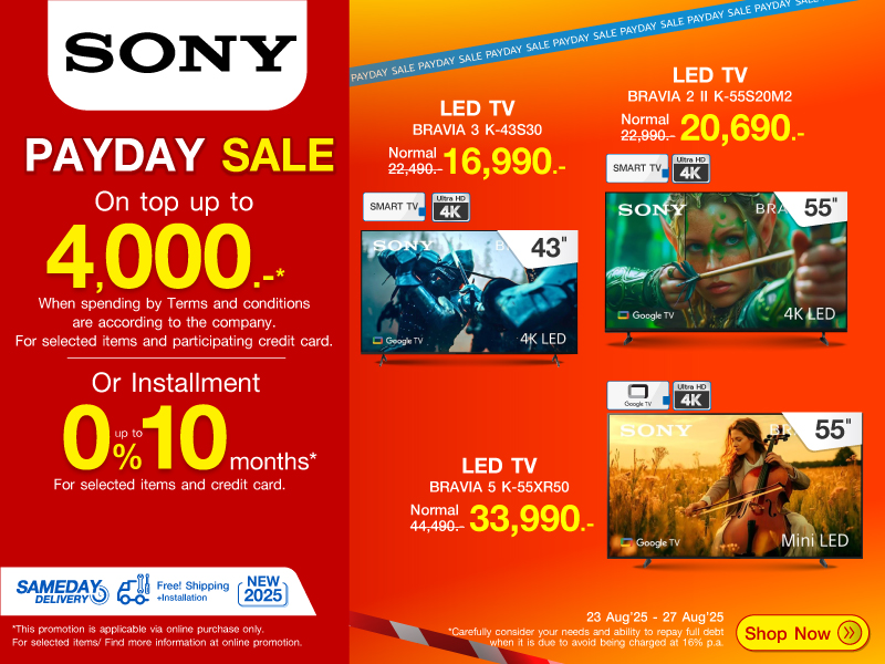 TV SONY PAYDAY SALE