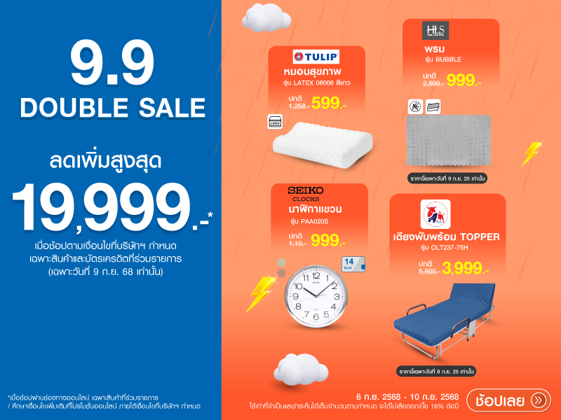 9.9 DOUBLE SALE PILLOW