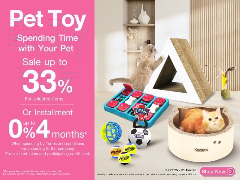 PET TOY