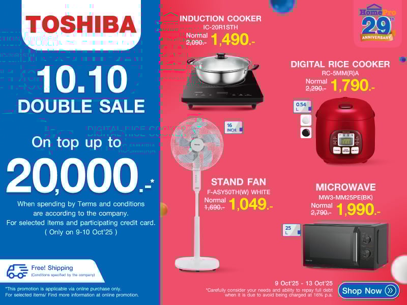 TOSHIBA 10.10 DOUBLE SALE