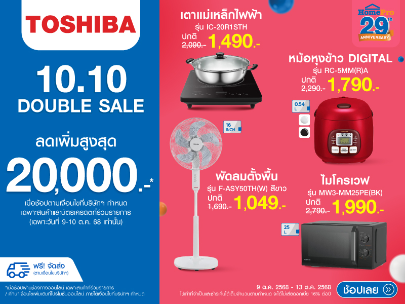 TOSHIBA 10.10 DOUBLE SALE
