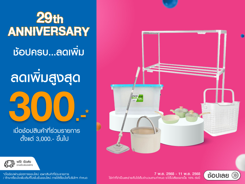 STORAGES & HOUSEHOLD PRODUCTS 29th ANV