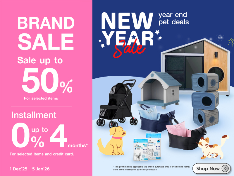 NEW YEAR SALE