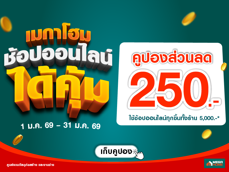 ช้อปออนไลน์ได้คุ้ม 250