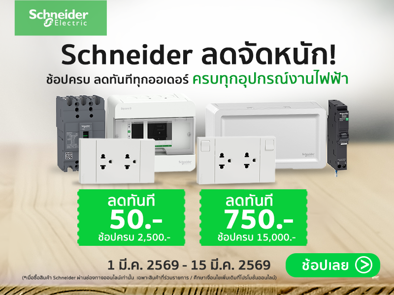 SCHNEIDER  Mega Discount