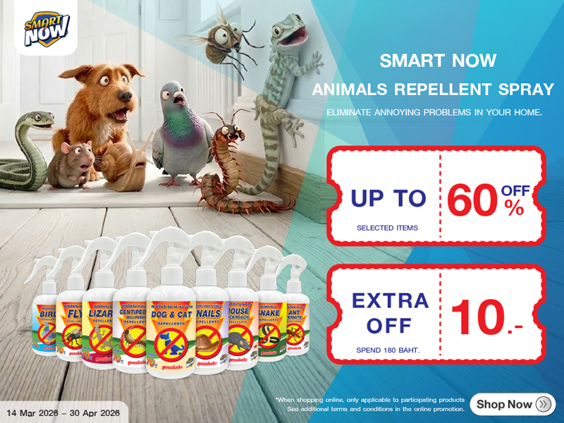 SMART NOW