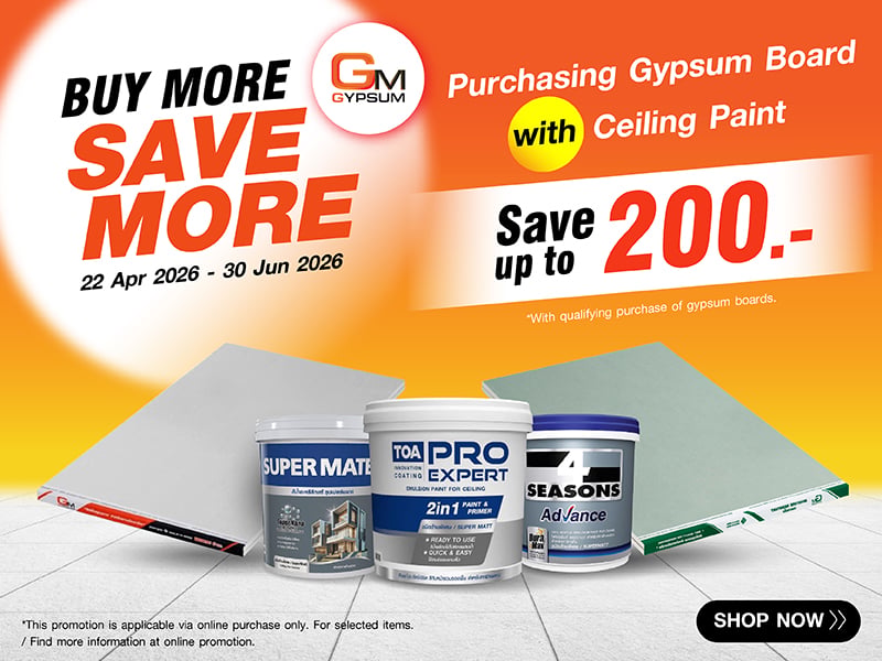 GYPSUM AND PAINT