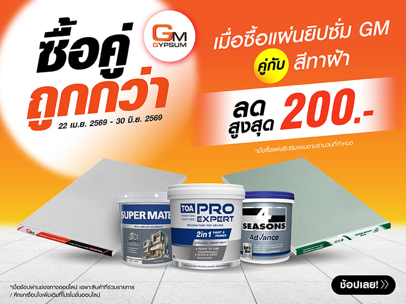 GYPSUM AND PAINT