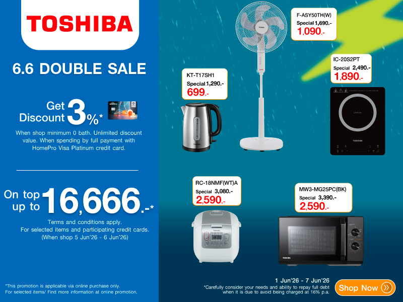 TOSHIBA  6.6 DOUBLE DAY