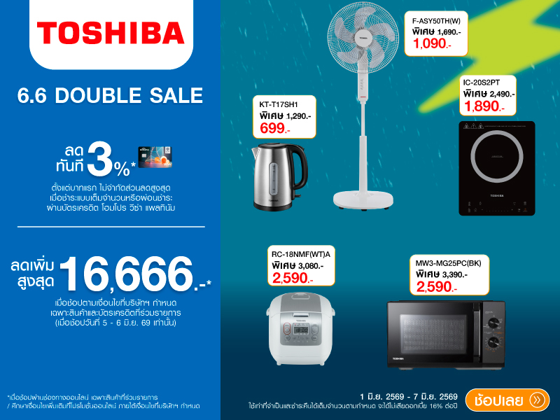 TOSHIBA  6.6 DOUBLE DAY